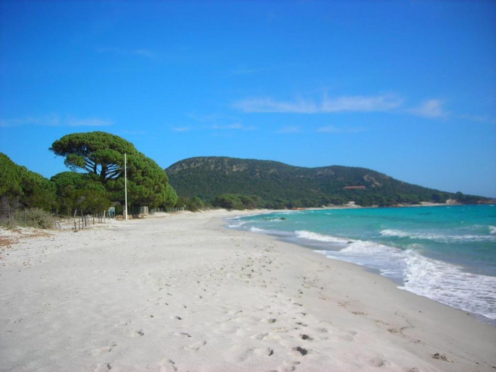 Villa Largia Porto Vecchio - A 5 Min Des Plages De Palombaggia - Calme- Climatisation Exterior foto